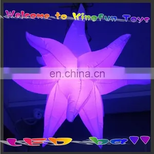 2014 New Desing Lighting Star Deocration Inflatables thumbnail-1