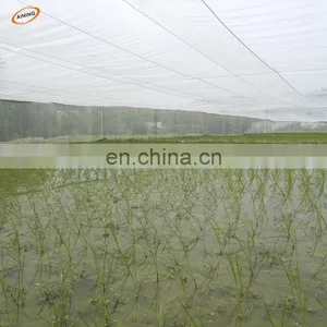 Vegetable Plant Anti Insect Cloth/PE Anti Insect Mesh/white Polyethylene Mesh thumbnail-1