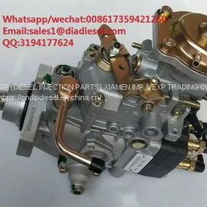 High Quality Diesel Fuel Injection Pump 196000-2653 196000 2653 for Sale thumbnail-1