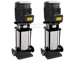 Type Vertical Multistage Pipeline Centrifugal Pump thumbnail-1
