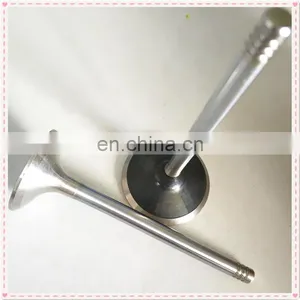 Trade Assurance Truck Parts Diesel Engine Valves For Isuzuu Giga CXZ81 10PE1 10PD1 8PC1 thumbnail-4