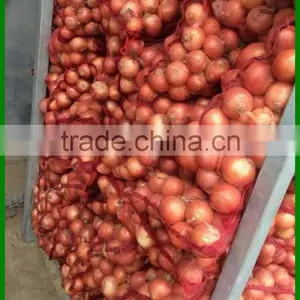 Low Price Fresh Red Onion Packing In Mesh Bag Cheap Onion thumbnail-6