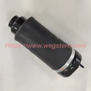 2513203113 Hot Selling Front Air Spring for Mercedes Benz R Class W251 Front LH & RH 2006-2010 thumbnail-3