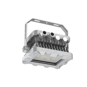 50 - 300w Led Explosion-proof Floodlights for Indoor and Outdoor Use, Dustproof, Waterproof, Anti-corrosion, Exemption From Inspection thumbnail-2