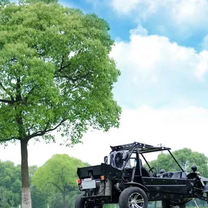 2 Seater Side by Side Sport Vehicle SSV 500cc 4-Stroke Gasoline Engine Automatic 4x4 Differential Lock UTV Quad Buggy thumbnail-5