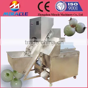 Industrial Onion Cutting Machine to Cut Onion Root and Tail Equipment thumbnail-1