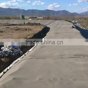 HDPE Geomembrane Liner thumbnail-4