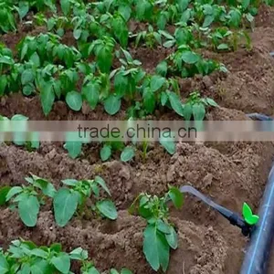 Agricultural Irrigation Hdpe Pipe Lines 2 Inch Diameter Quality Choice thumbnail-3