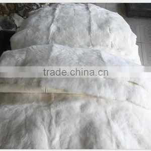 TOP Quality Rex Rabbit Fur Pelt thumbnail-2