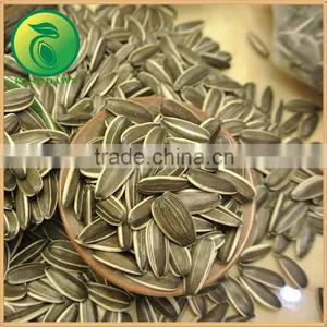 Chinese Cheap Sunflower Seeds For Sale thumbnail-3