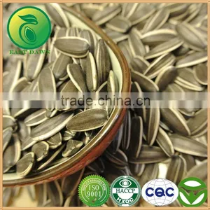 Chinese White Sunflower Seeds With High Quality thumbnail-1