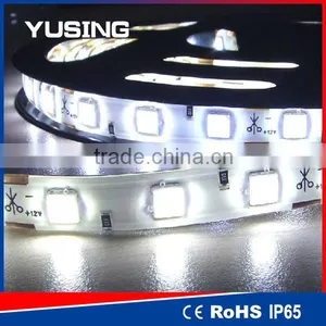 CE TUV IP68 Low Voltage Waterproof 5050 SMD LED Strip Flexible 12V thumbnail-3