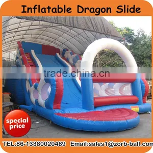Large Inflatable Slide for Kids thumbnail-1