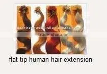 U-tip Hair 100%human Hair Style BW thumbnail-1
