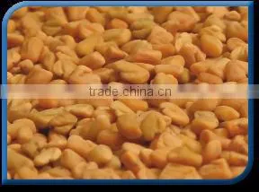 Fenugreek Seed thumbnail-1