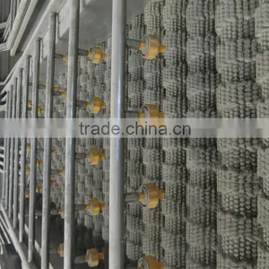 Vegetable Cleaning Plant Equipment Brush Washing Machine thumbnail-1