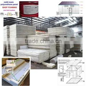 Standard Cold Room/ PU Cold Storage Room / Storage Freezer Room thumbnail-4