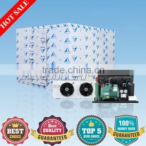 Koller New Technology 15 Tons Cold Storage Room With PU Panels for Fish Meat thumbnail-1