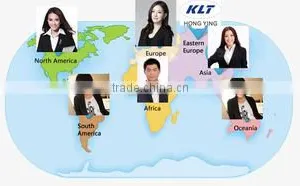 Guangzhou Hong Ying Technology Company Limited company overview - view 2 thumbnail