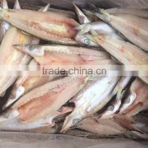 Lady Fish Fillet thumbnail-1