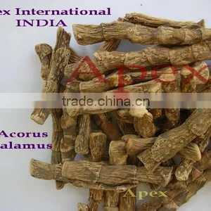 Buch/Acorus Calamus / Calamus Root thumbnail-5