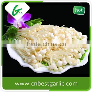 Common Canned Instant Enoki Mushroom Extract thumbnail-3