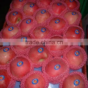 New Crop Fresh Fuji Apple/all Kinds of Pack thumbnail-1