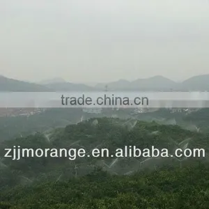 Mandarin Orange Sac thumbnail-2