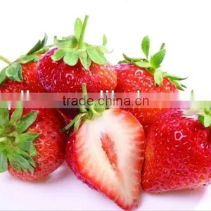 Frozen Strawberry thumbnail-3