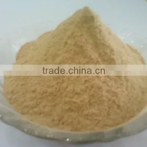 EXPORT QUALITY GARLIC POWDER DRY thumbnail-6