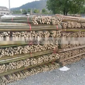 Bamboo Poles thumbnail-3
