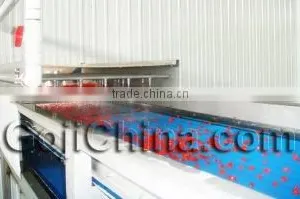 Ningxia Qixiang Biologic Foodstuff Co., Ltd. company overview - view 1 thumbnail
