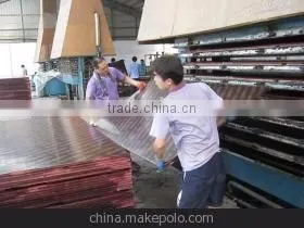 Packing Plywood Vietnam 4 Ft. x 8 Ft. 3mm-28mm/kitchen Decoration Polyester Plywood China Waterproof Plywood Vietnam thumbnail-3
