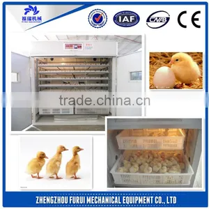 Newest Design Automatic Egg Incubator / 112 Egg Incubator thumbnail-1