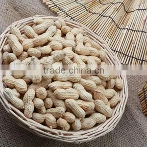 New Crop Red Skin Peanuts Kernels thumbnail-1