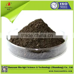 60% Organic Fertilizer thumbnail-1