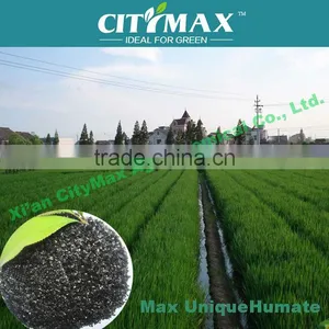 100% Natural Potassium Humate From Humic Acid Flake Leonardite Sources thumbnail-1