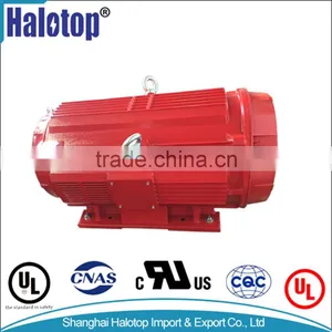 UL LISTED NEMA ODP STANDARD 250HP IE1 FIRE MOTOR (TDC447TS250U4B) thumbnail-1