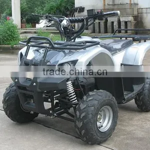 800W Brushless Motor / Shaft Elelctric Quad ATV 800W (TKE-A800-G) thumbnail-3