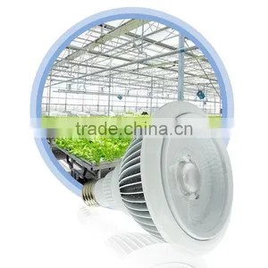 Made In China Led Grow Light Greenhouse Horticulture Used LED Grow Light thumbnail-1