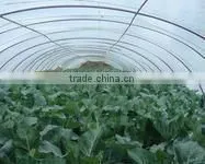 Transparent Agricultural Film thumbnail-1