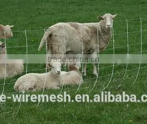 Cattle Fence /Grassland Farm Fence / Farm Guard Field Fence Price thumbnail-3