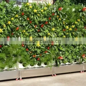 Double Sided Green Wall System for Office thumbnail-6