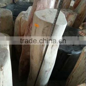Petrified /fossilized Wood,Luxary Nature Decorative Stone,high Value for Collection thumbnail-2