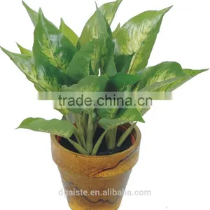 Artificial Green Bonsai The Evergreen WB17-27J-GN2# Plant Bonsai Flower Tree of Este ) thumbnail-1