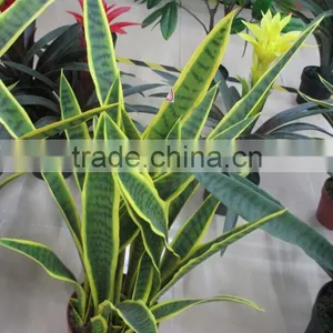 SJ GN 56 Artificial Sansevieria Plants thumbnail-3