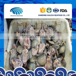Fresh Frozen Half Shell Large Size Clam With Good Quality thumbnail-1