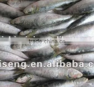 2016 Best Quality Canned Sardine From China thumbnail-1