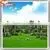High Imitation Artificial Landscaping Grass Ornamental Grasses Garden thumbnail-5
