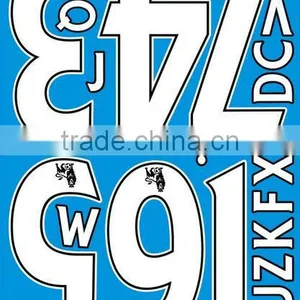 Eco-friendly Ink Resistant Plastisol/Screen Printing Heat Transfer Stickers Iron On Clothing With Custom Pattern thumbnail-6